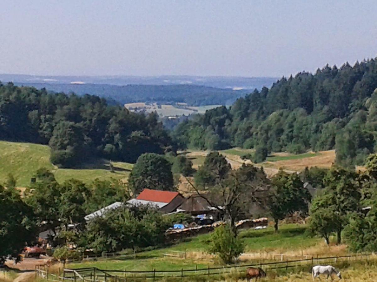 Fewo Darsberg Leilighet Neckarsteinach Eksteriør bilde