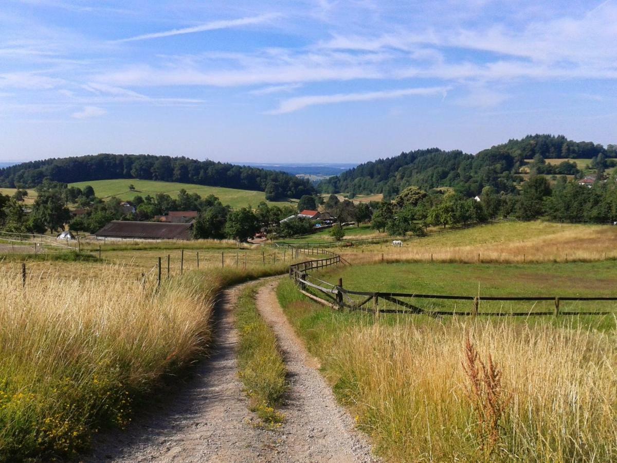 Fewo Darsberg Neckarsteinach Eksteriør bilde