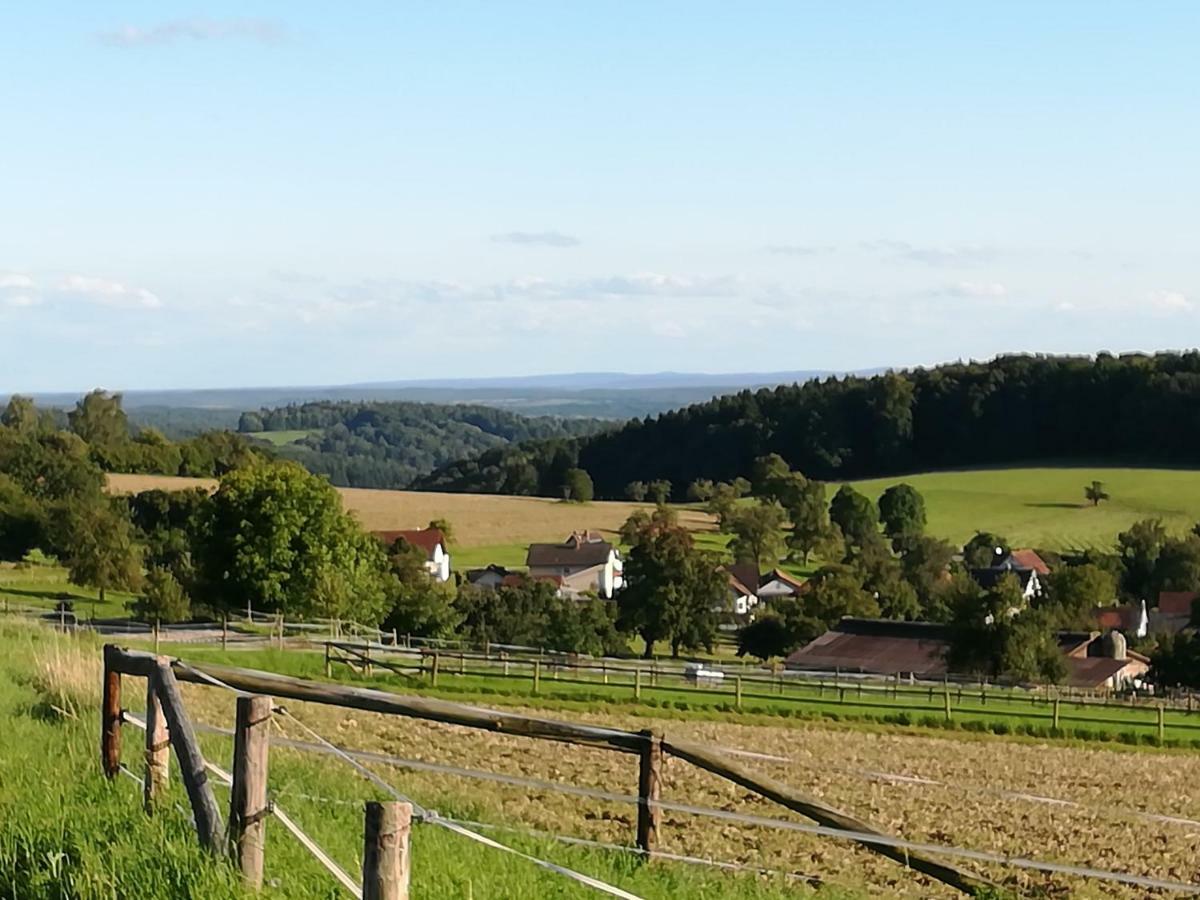 Fewo Darsberg Neckarsteinach Eksteriør bilde
