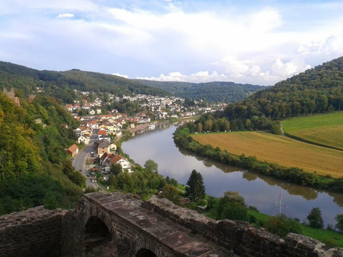 Fewo Darsberg Neckarsteinach Eksteriør bilde